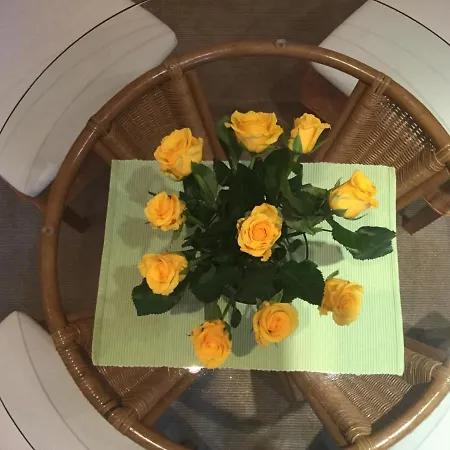 Elsterveilchen 100 M Bis Zur Soletherme Und Theater *