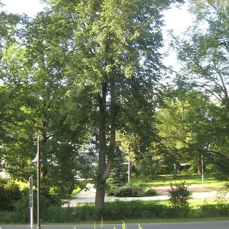 Apartament Ferienwohnung Elsterveilchen - 100 M Zur Soletherme ,Kurpark & Theater, Parkplatz