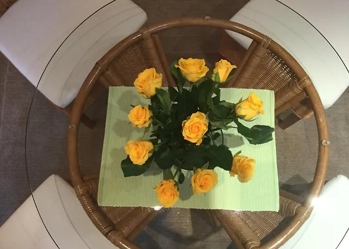 Elsterveilchen 100 M Bis Zur Soletherme Und Theater *